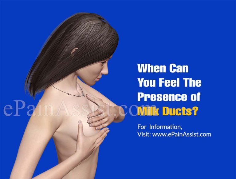 When Can You Feel The Presence of Milk Ducts?