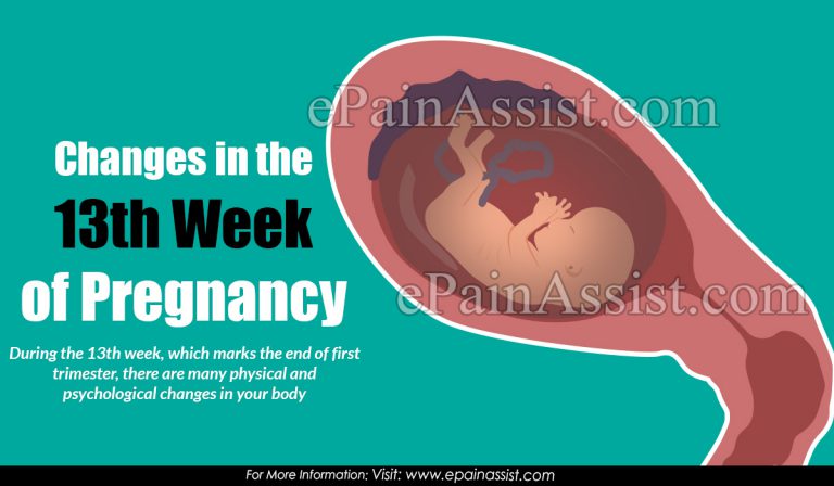 Changes in the 13th Week of Pregnancy