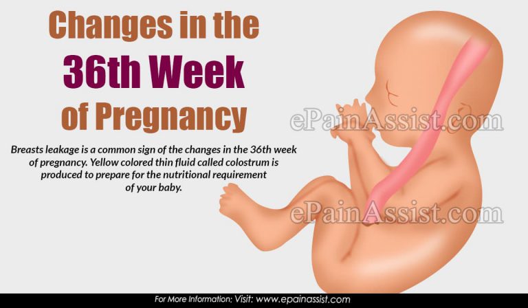 Changes in the 36th Week of Pregnancy