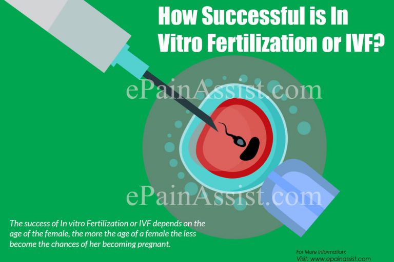 How Successful is In Vitro Fertilization or IVF?