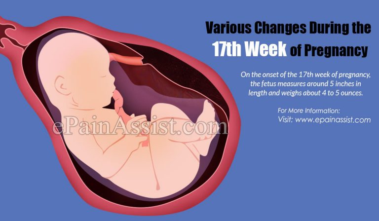 Various Changes During the 17th Week of Pregnancy