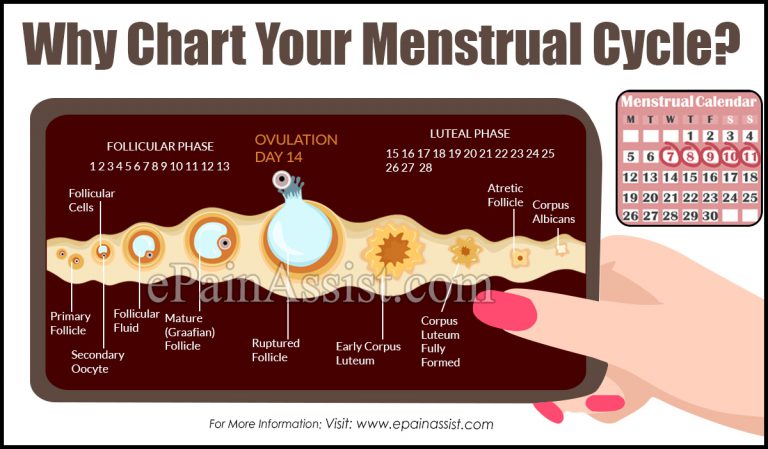 Why Chart Your Menstrual Cycle?