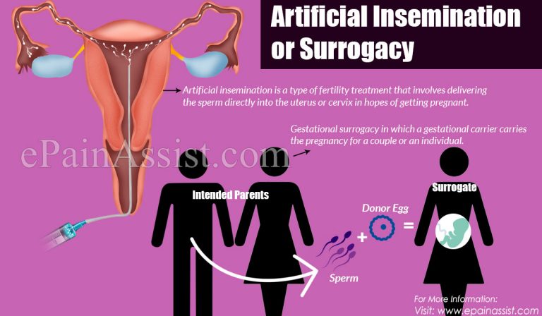 Artificial Insemination or Surrogacy: Which is Better?