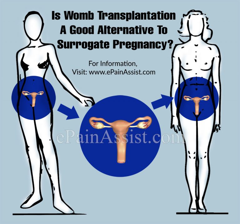 Is Womb Transplantation A Good Alternative To Surrogate Pregnancy?