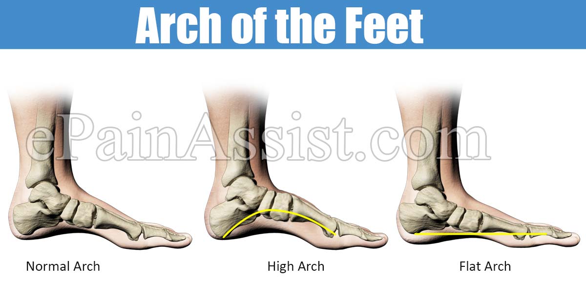 Functions of the Foot