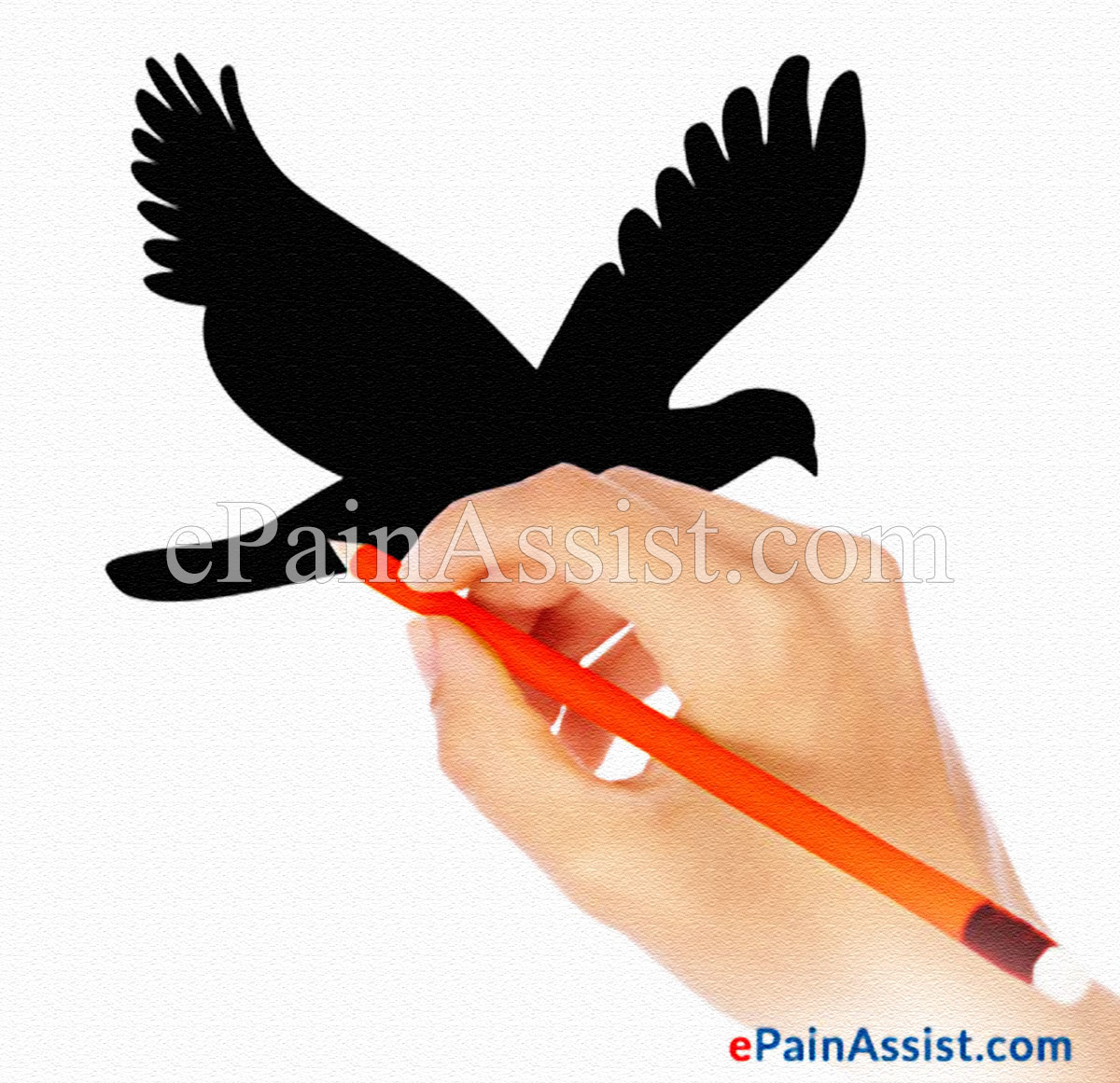 Art Therapy or Activity Therapy