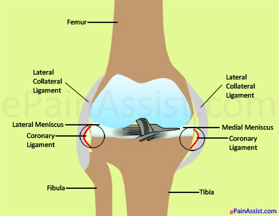  Coronary Ligament Sprain