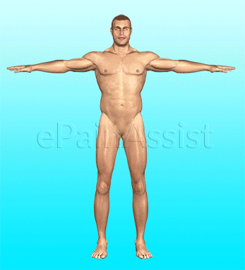 Joint Pain: Causes, Symptoms, Treatment, Pathophysiology, Types