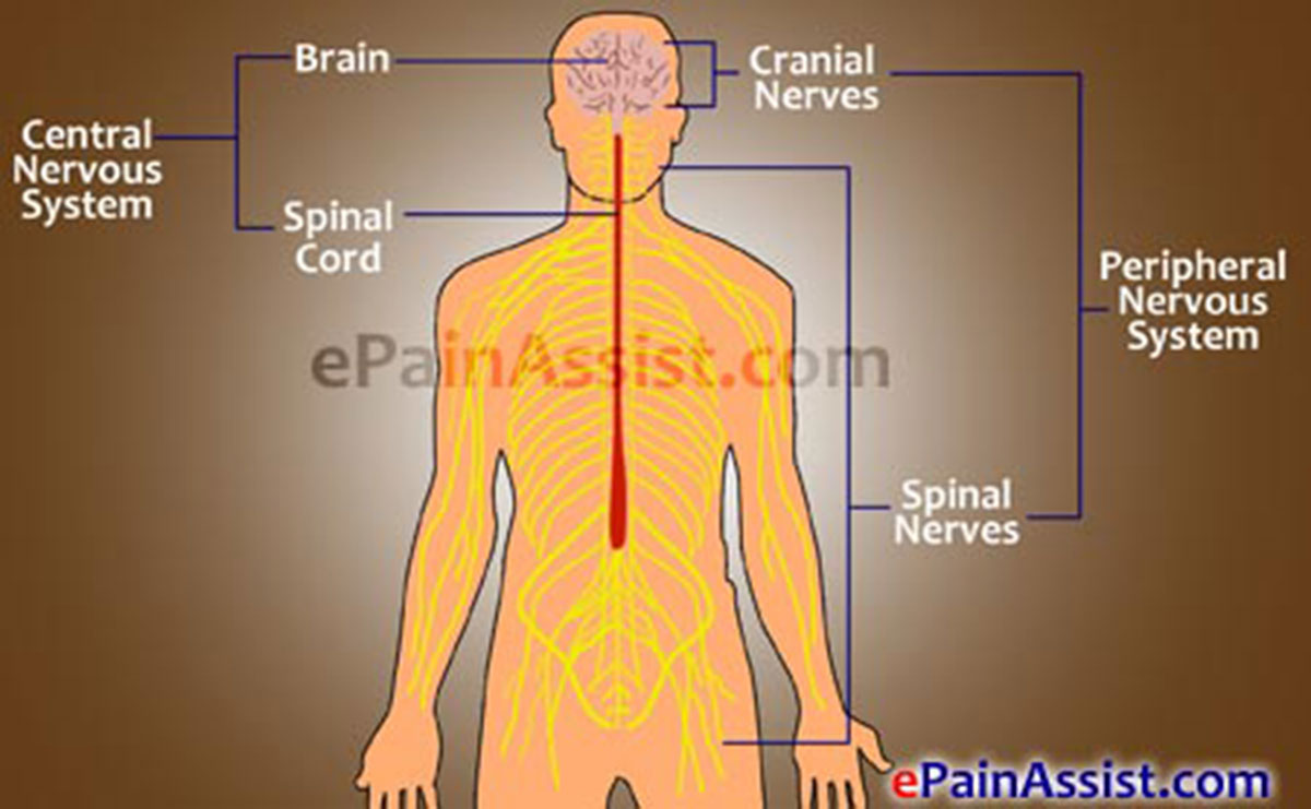 Neuropathic Pain Neuropathic Pain