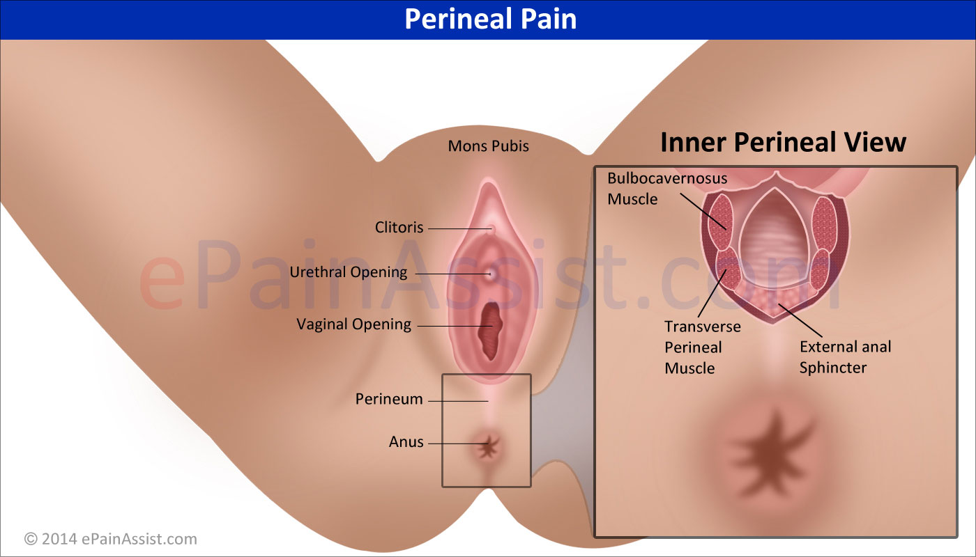 left of side anus Lump on