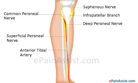 Symptoms of Saphenous nerve injury