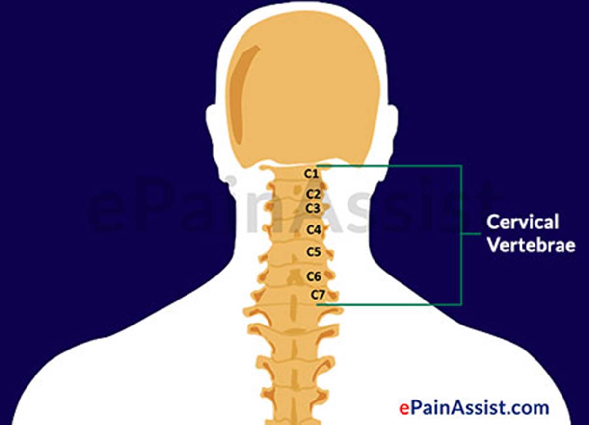 Upper Cervical Chiropractic Technique