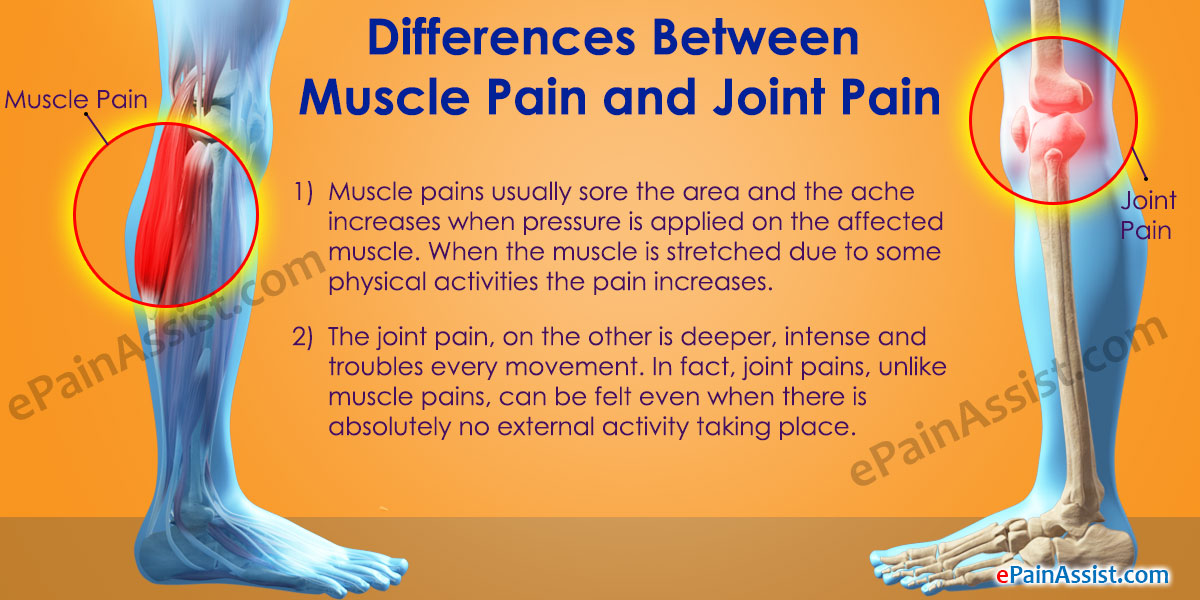 Image result for muscle Pain in knee area