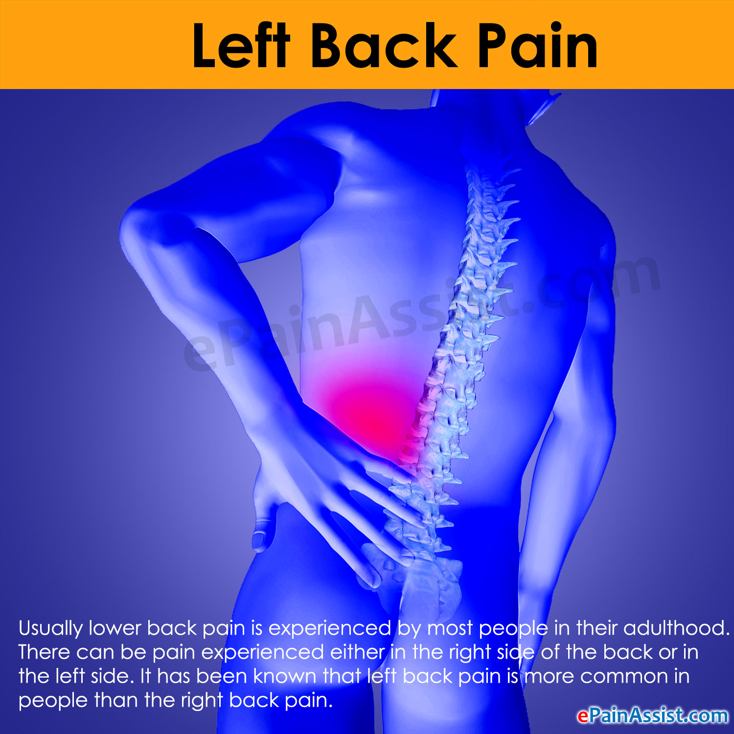 Left Back Pain