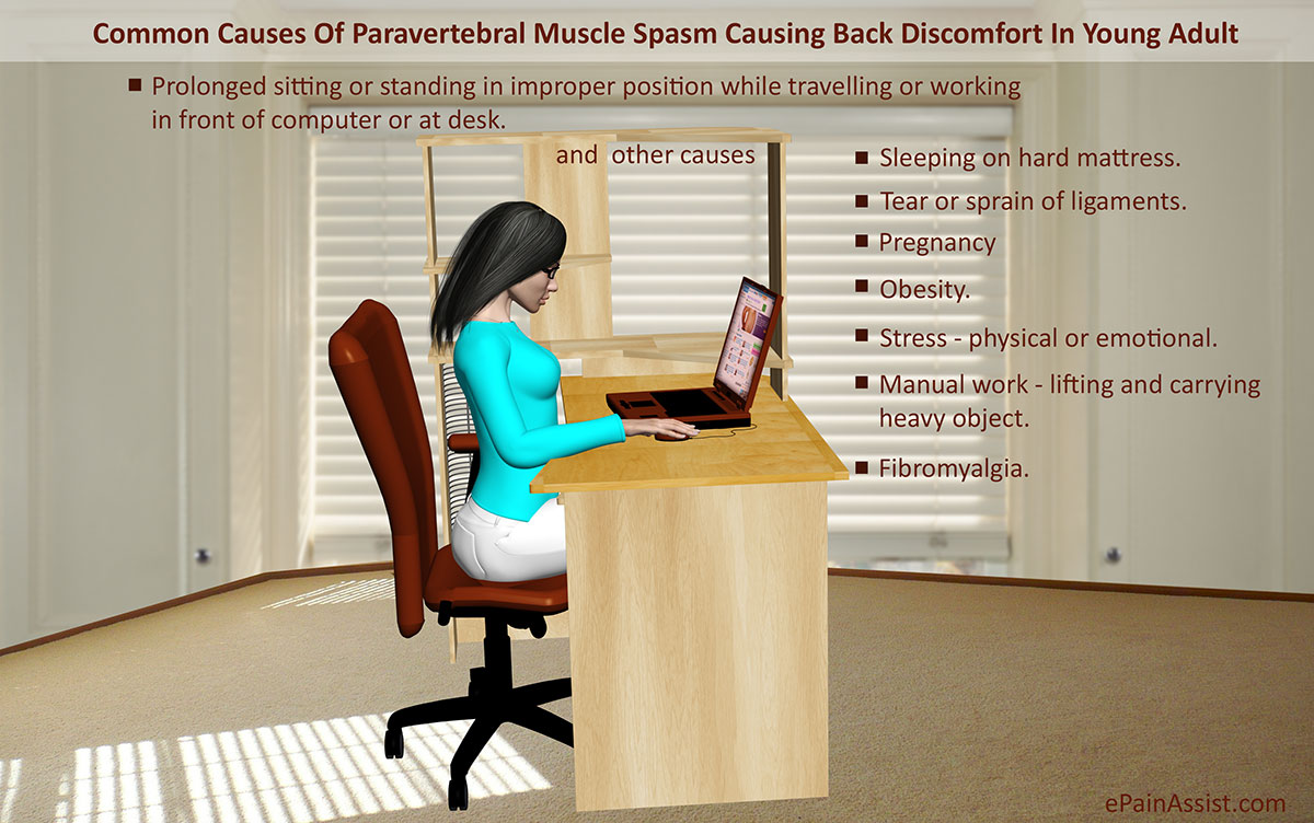 Causes Of Low Back Pain in Young Adult