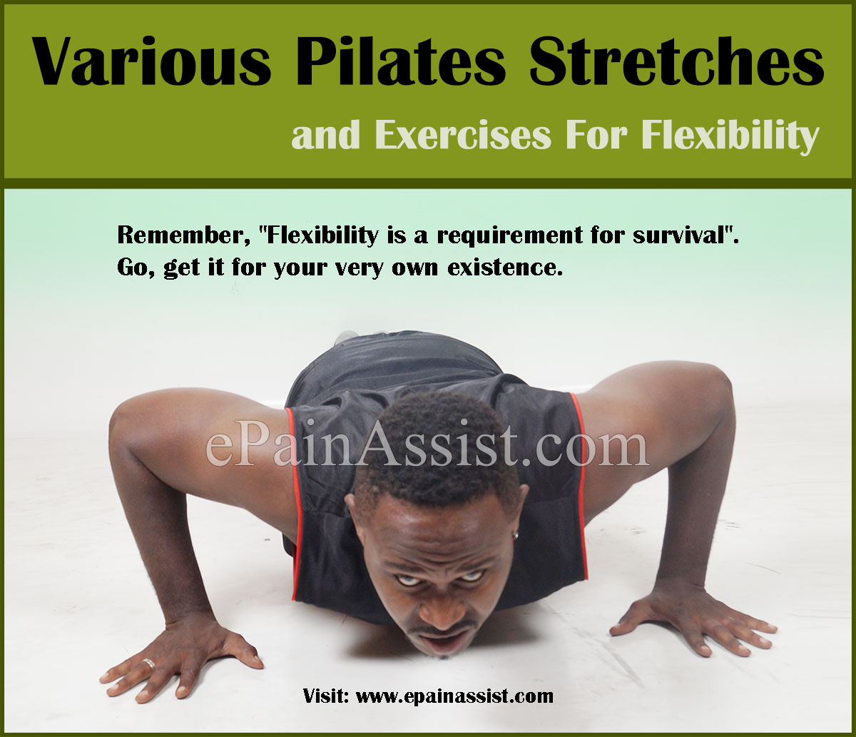 Various Pilates Stretches and Exercises For Flexibility Various Pilates Stretches and Exercises For Flexibility