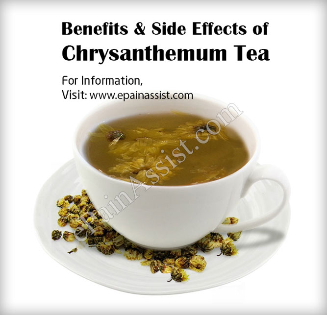 Benefits & Side Effects of Chrysanthemum Tea