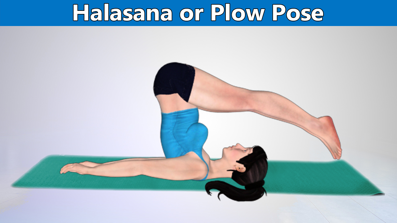 Halasana or Plow Pose for Stretching the Spine and Improving Overall Flexibility