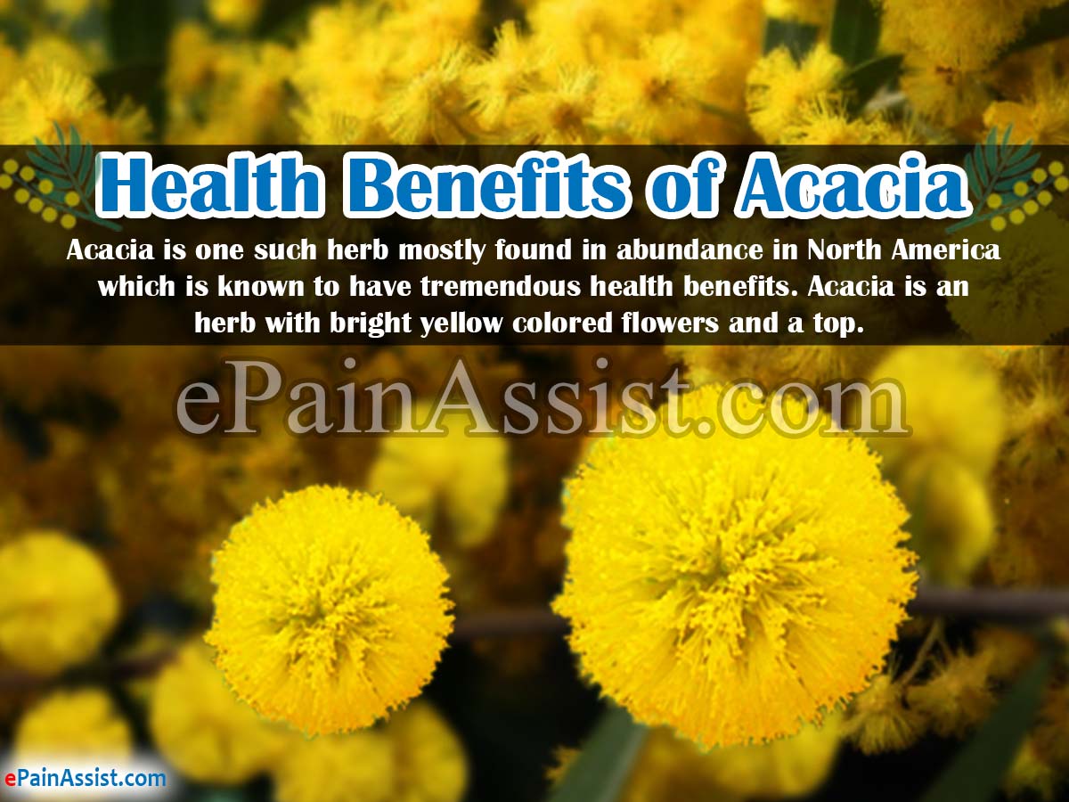 Health Benefits of Acacia & Its Side Effects