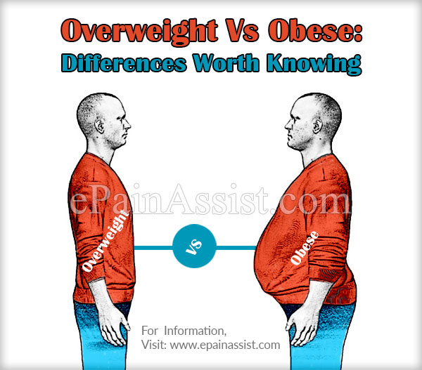 Overweight Vs Obese: Differences Worth Knowing