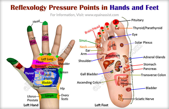 Reflexology Pressure Points in Hands and Feet