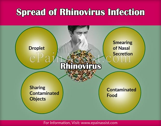 Spread of Rhinovirus Infection or Common Cold Virus