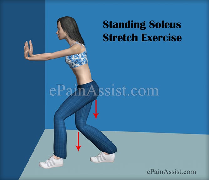 Standing Soleus Stretch Exercise For Ankle Joint Ligament Injury!