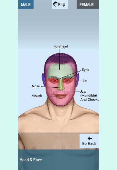 Symptom Checker For Head and Face Pain In Male