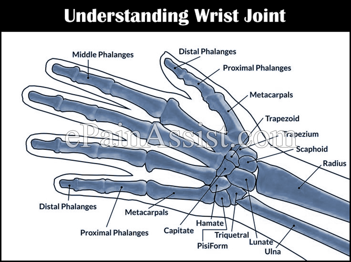 Understanding Wrist Joint Understanding Wrist Joint