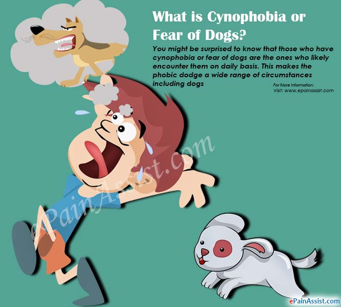 What is Cynophobia or Fear of Dogs?