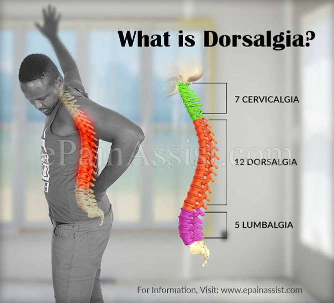 What is Dorsalgia?